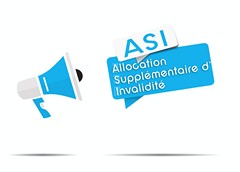 L'ASI : un complément de ressources