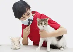 consultation vétérinaire