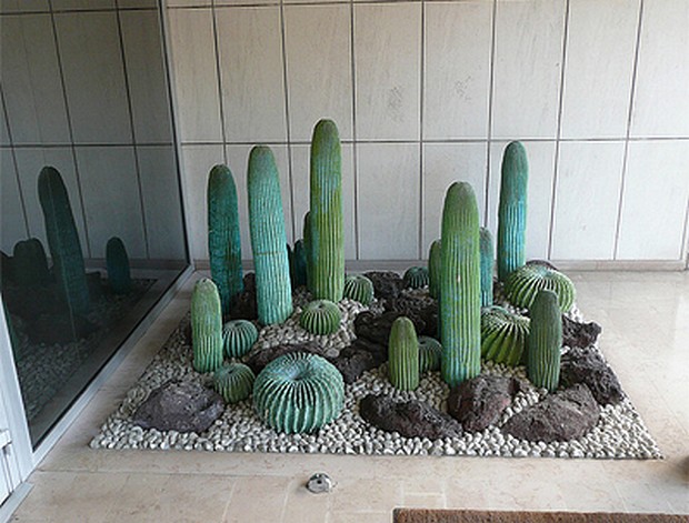 cactus répulsifs