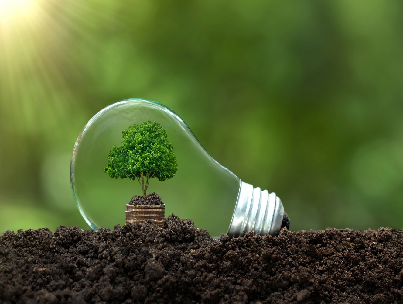 prime réduction facture d'électricité