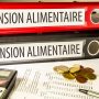 Montant pension alimentaire : comment connaître ce que l'on doit verser ou recevoir quand on est parent séparé ?
