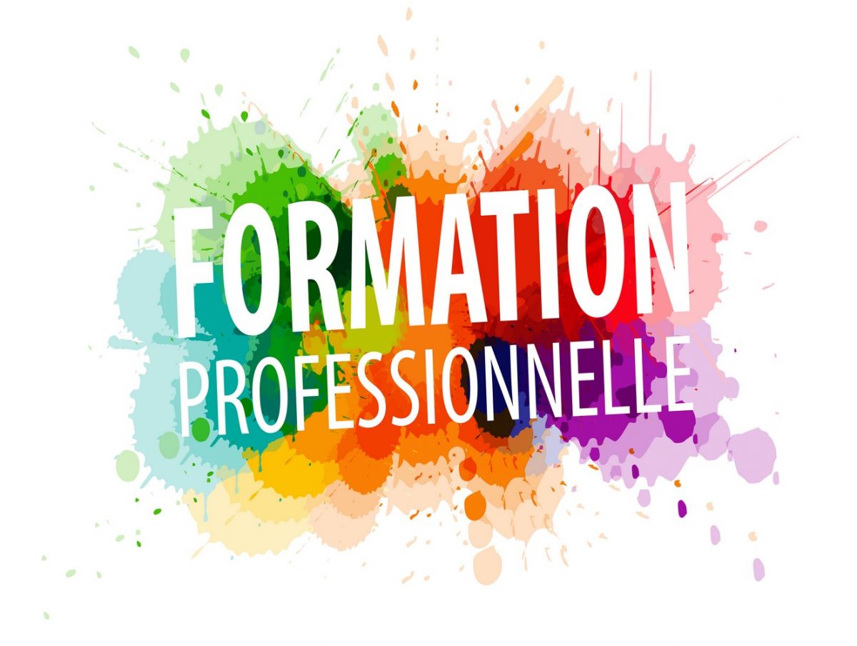 La formation professionnelle et ses stagiaires