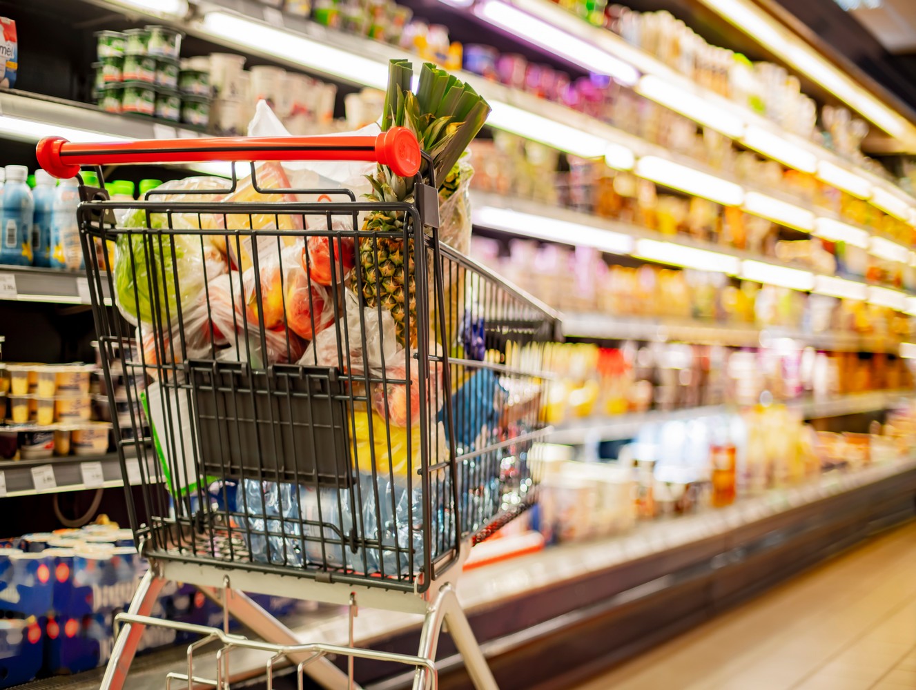 Le chèque alimentaire dans la Seine-Saint-Denis