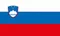 Assurance maladie slovénie