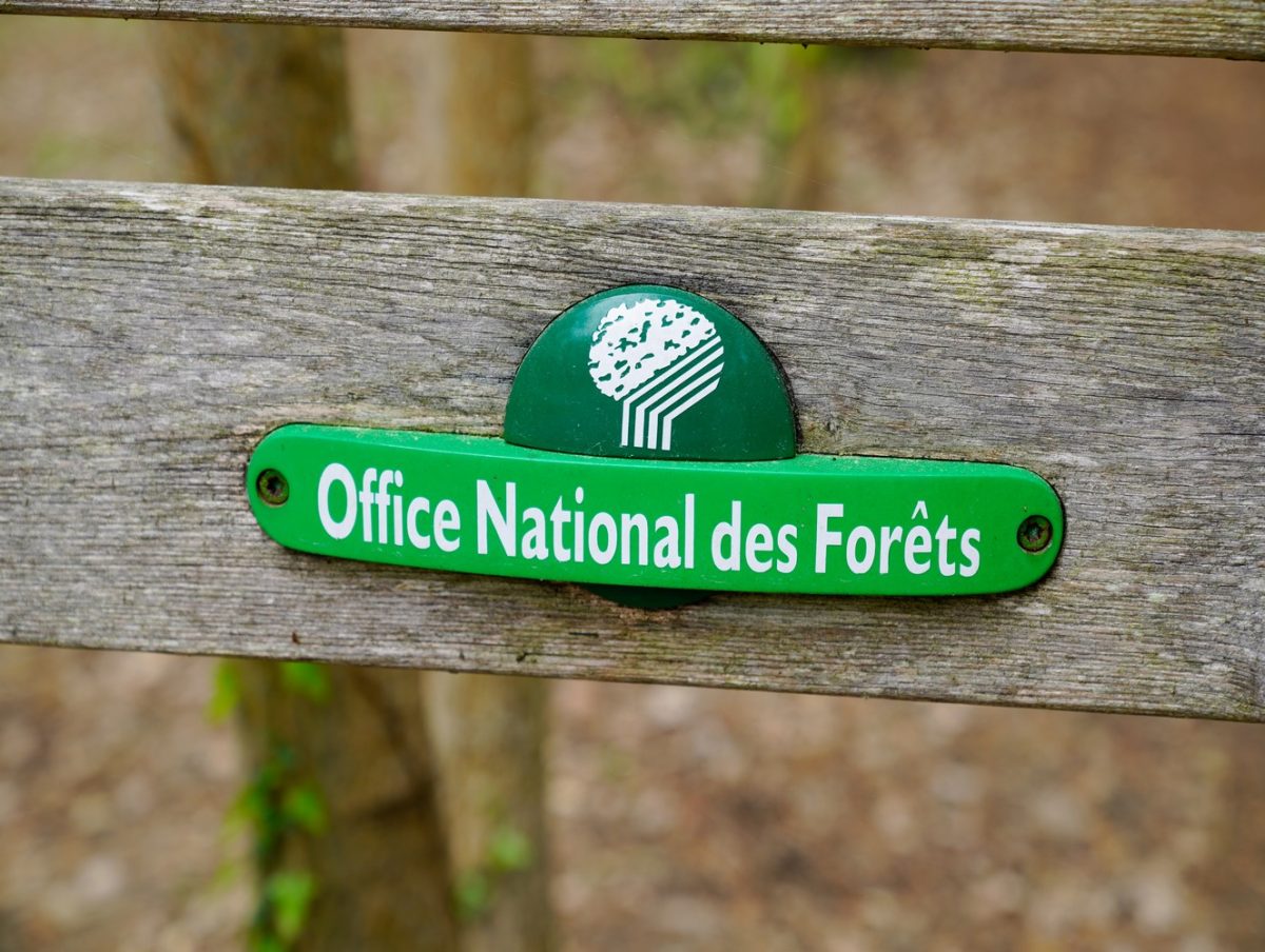 Office Nationale des forêts