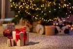 Les aides pour Noël 2025 : zoom sur les dispositifs exceptionnels de fin d’année