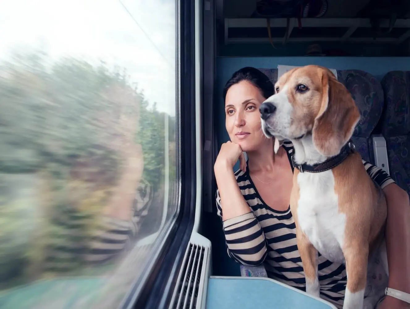 achat billet de train aide