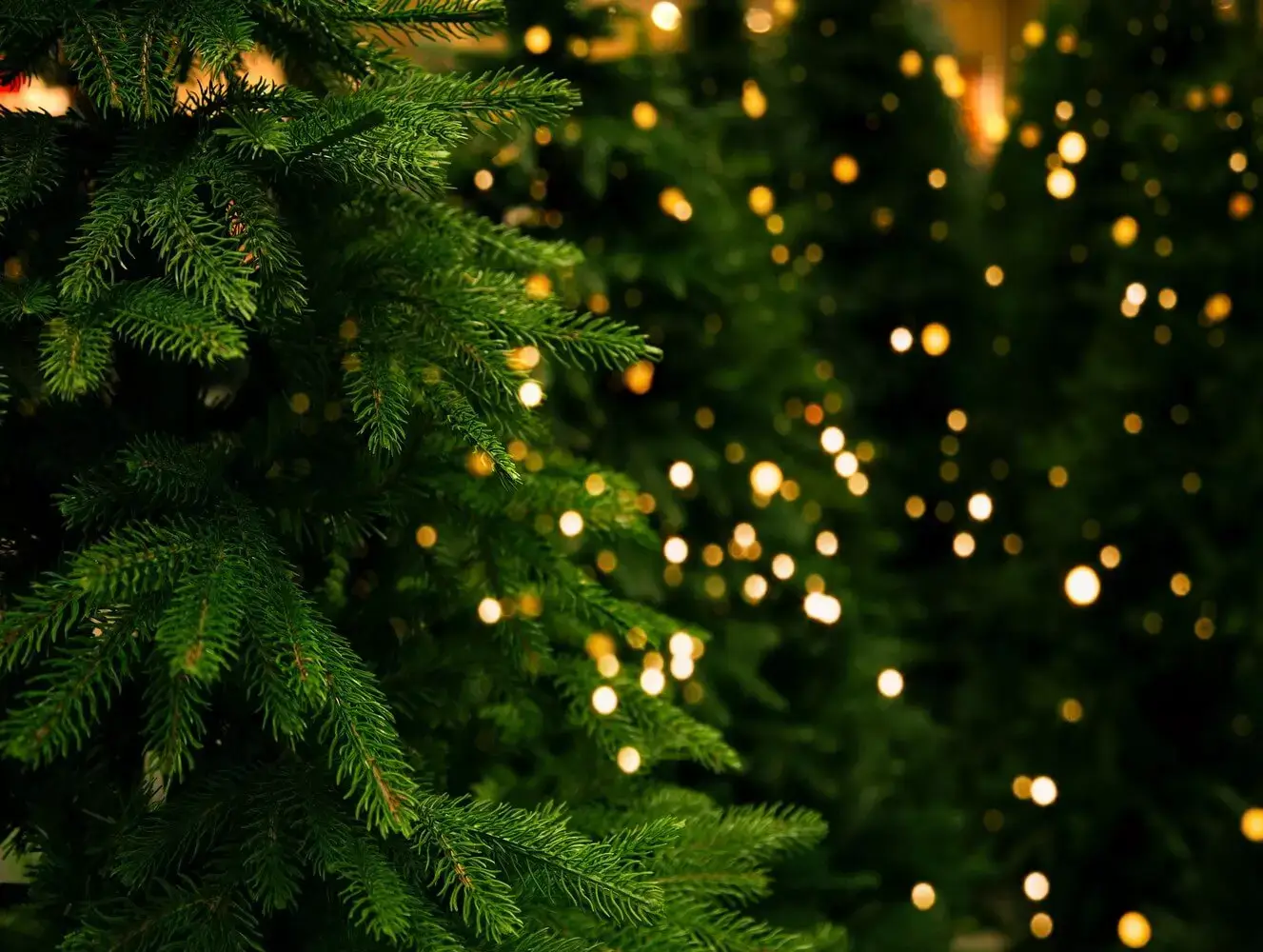 erreur prime de noël bloquée